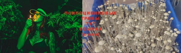 спиды Белокуриха