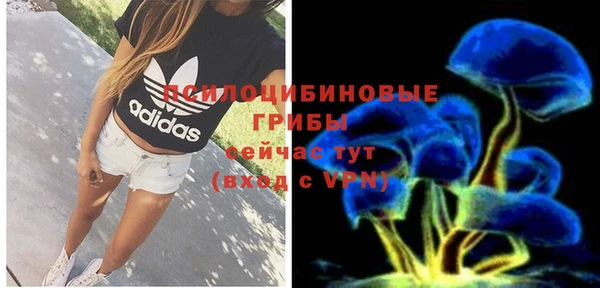 спиды Белокуриха